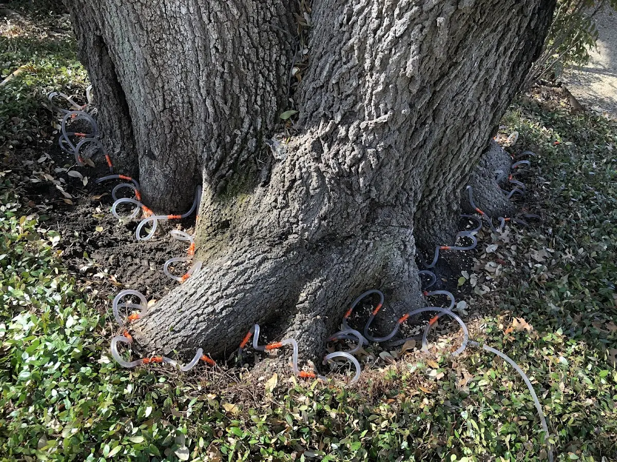 Detailed Shrub and Hedge Trimming job site in Hecker